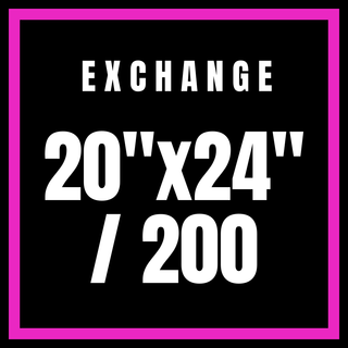 Exchange 20x24"/200