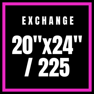 Exchange 20x24"/225
