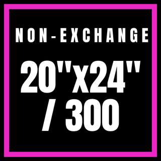 Non-Exchange 20x24"/300