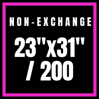 Non-Exchange 23x31"/200