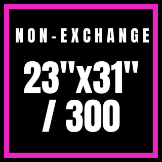 Non-Exchange 23x31"/300