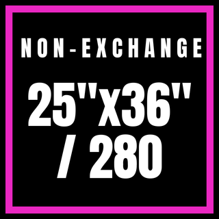 Non-Exchange 25x36"/280